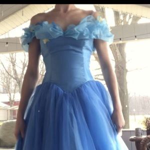 Cinderella cosplay/costume dress